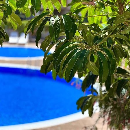 3-Bedrooms Apartament Vista Roja Granadilla De Abona Zewnętrze zdjęcie